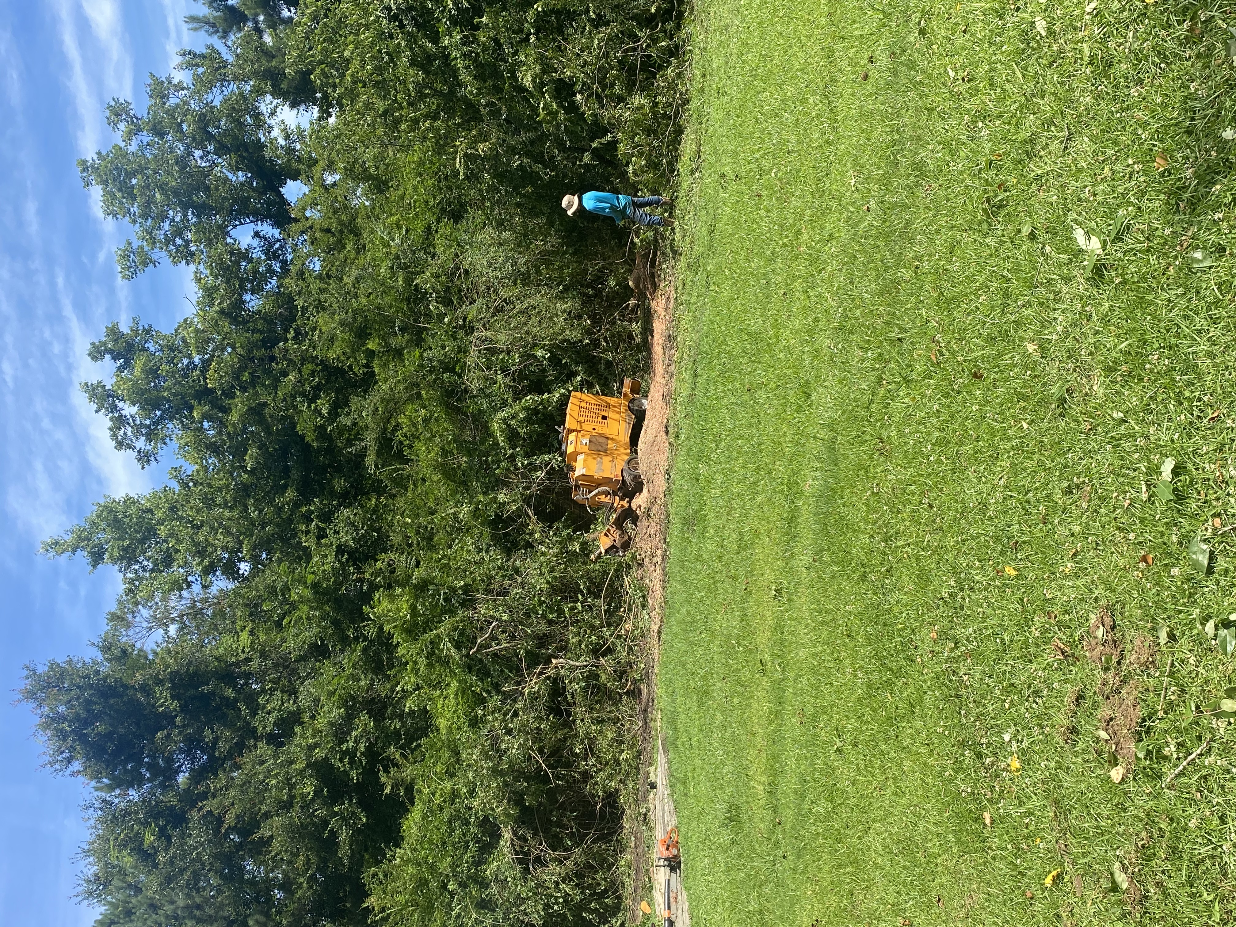 Thick brush removal