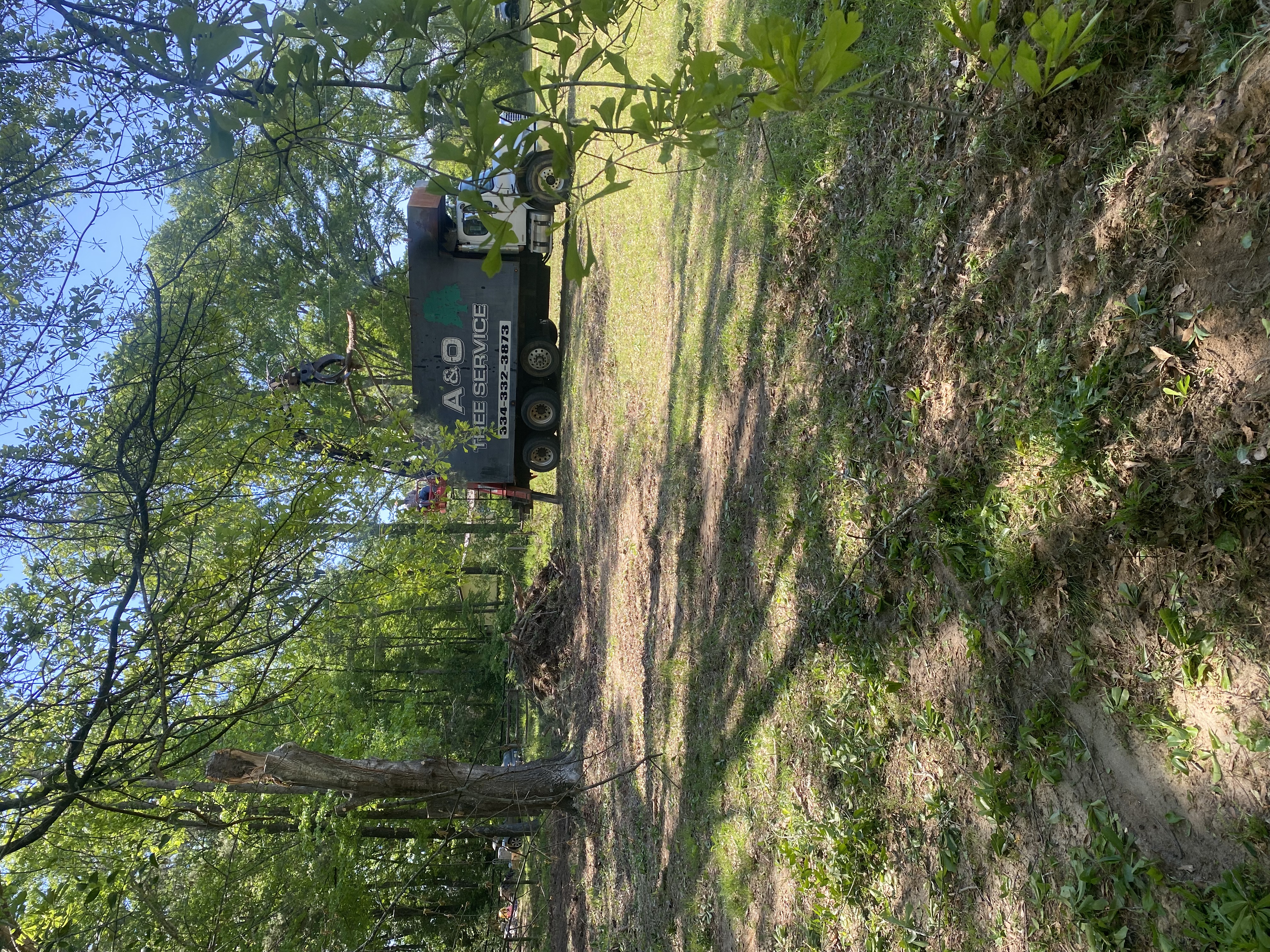A&O Tree Service equipment