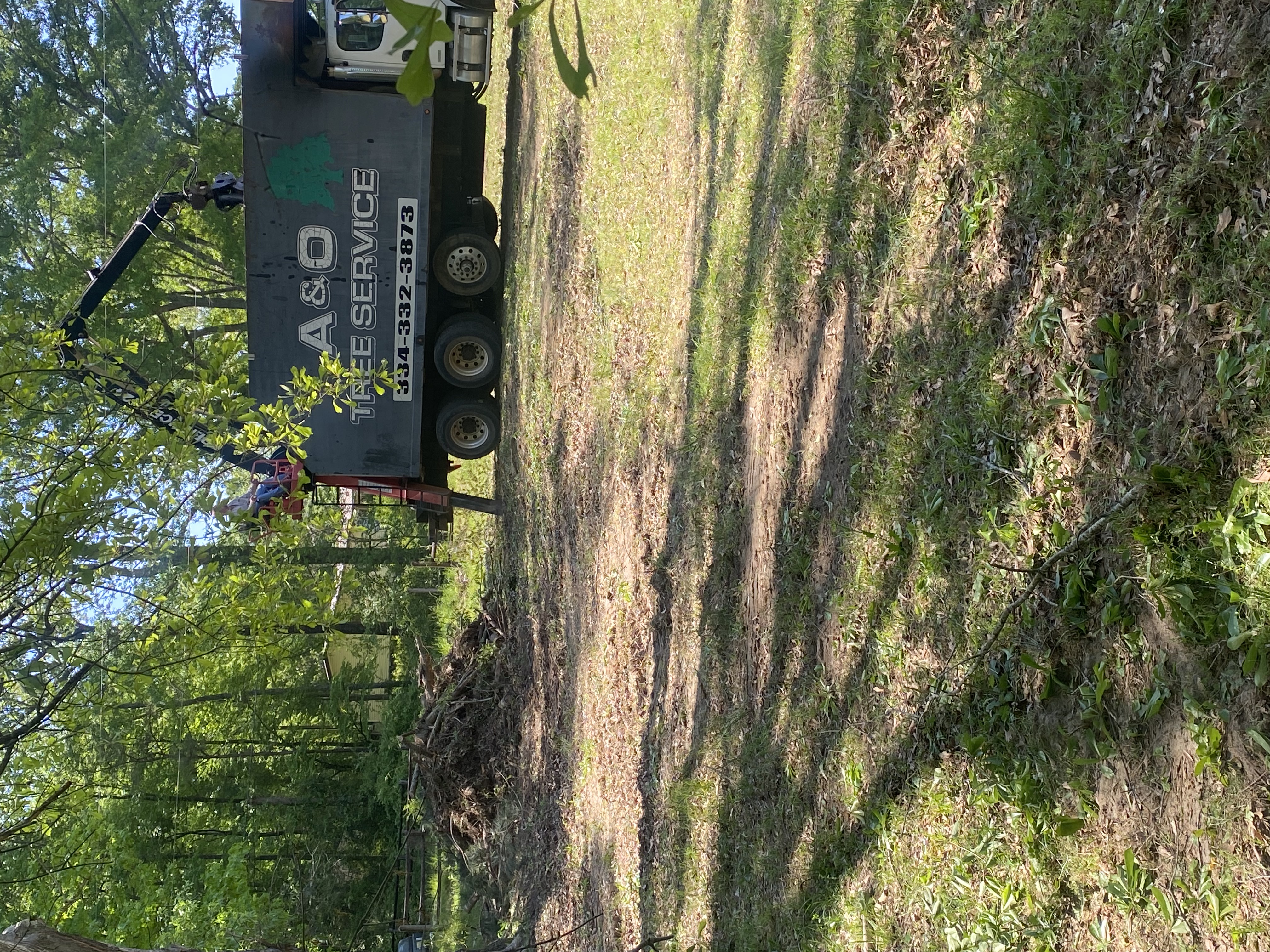 A&O Tree Service truck