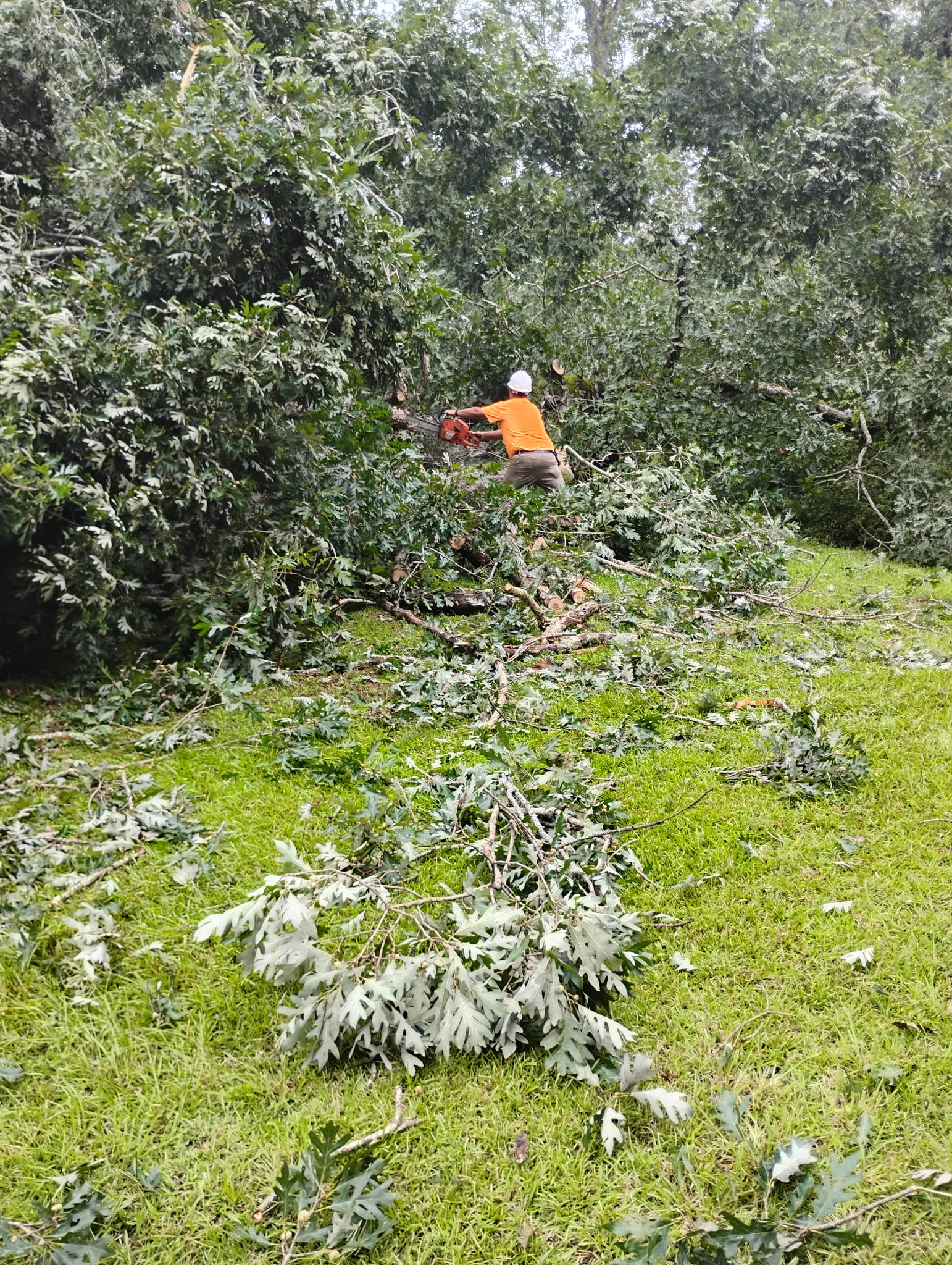 Storm cleanup service