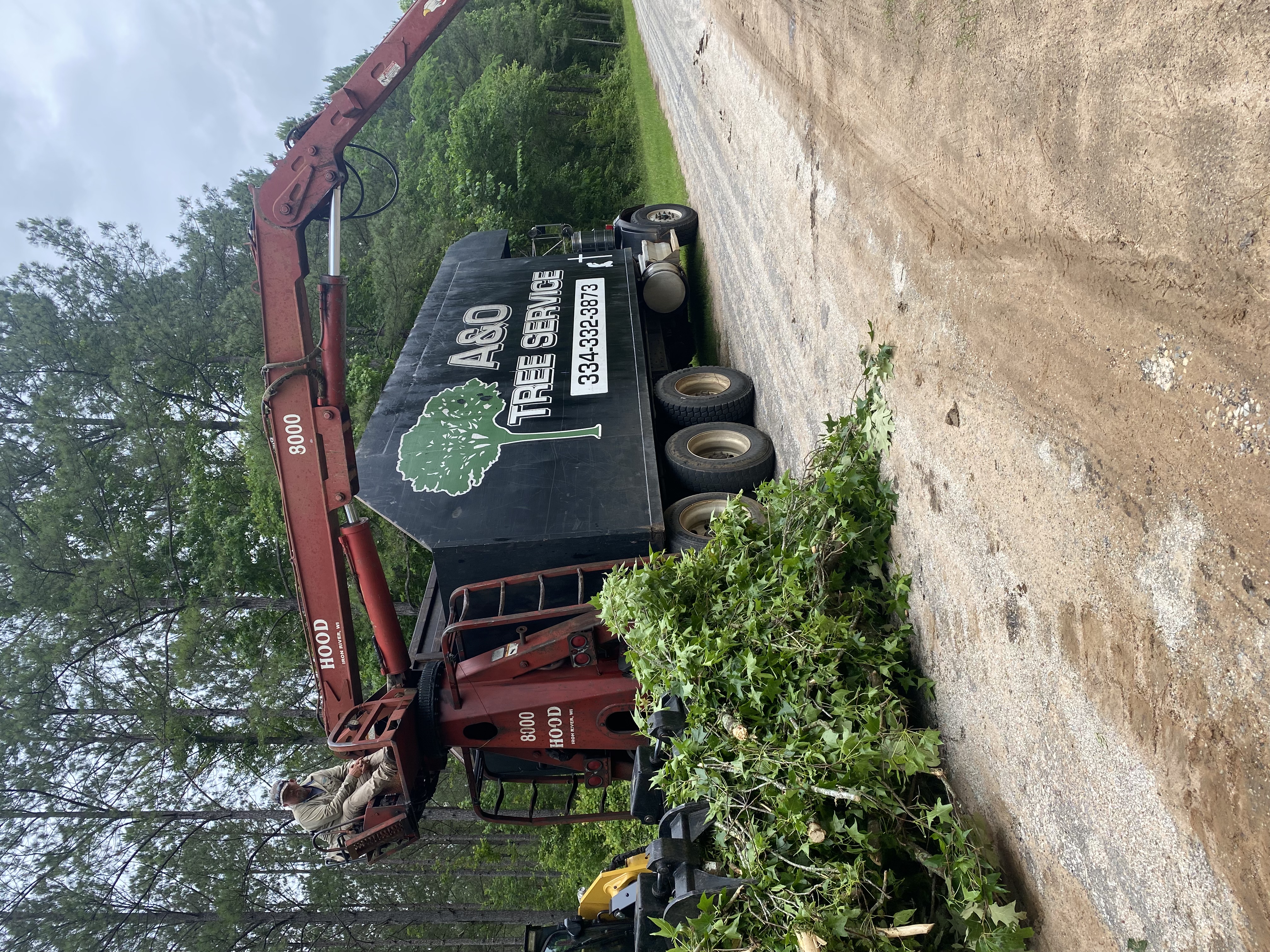 Tree service cleanup