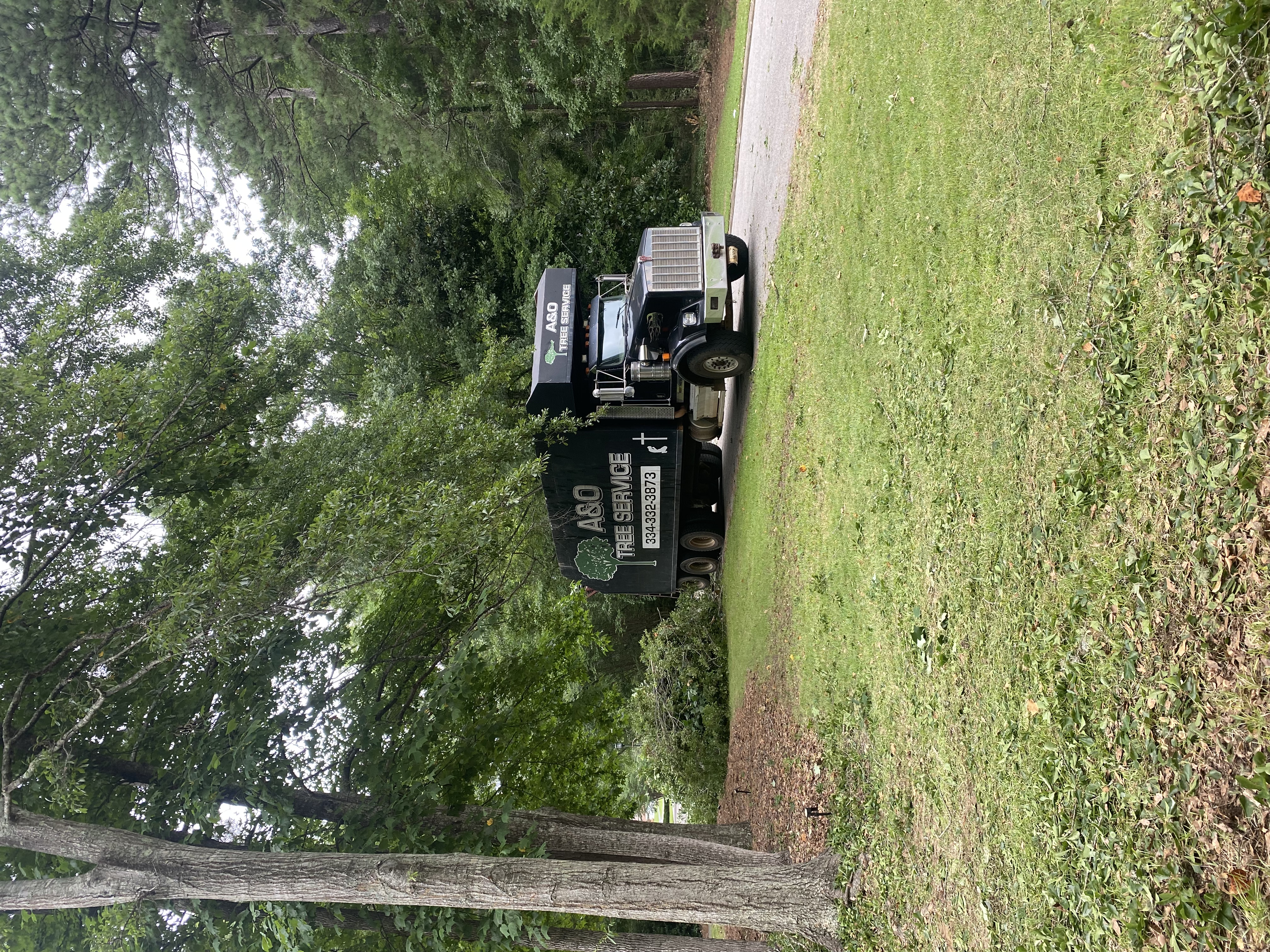Collection truck cleanup