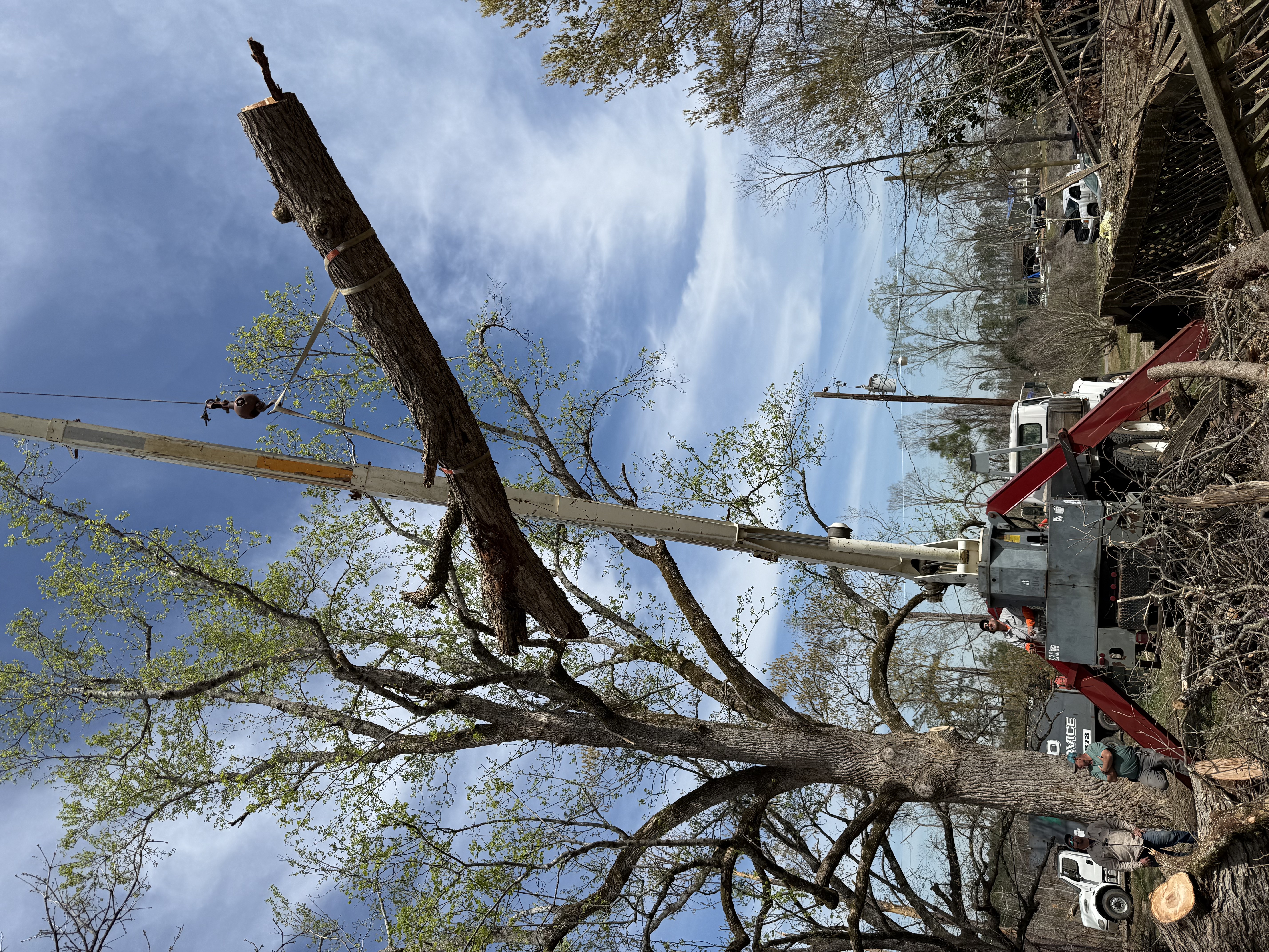 Controlled limb lowering near property