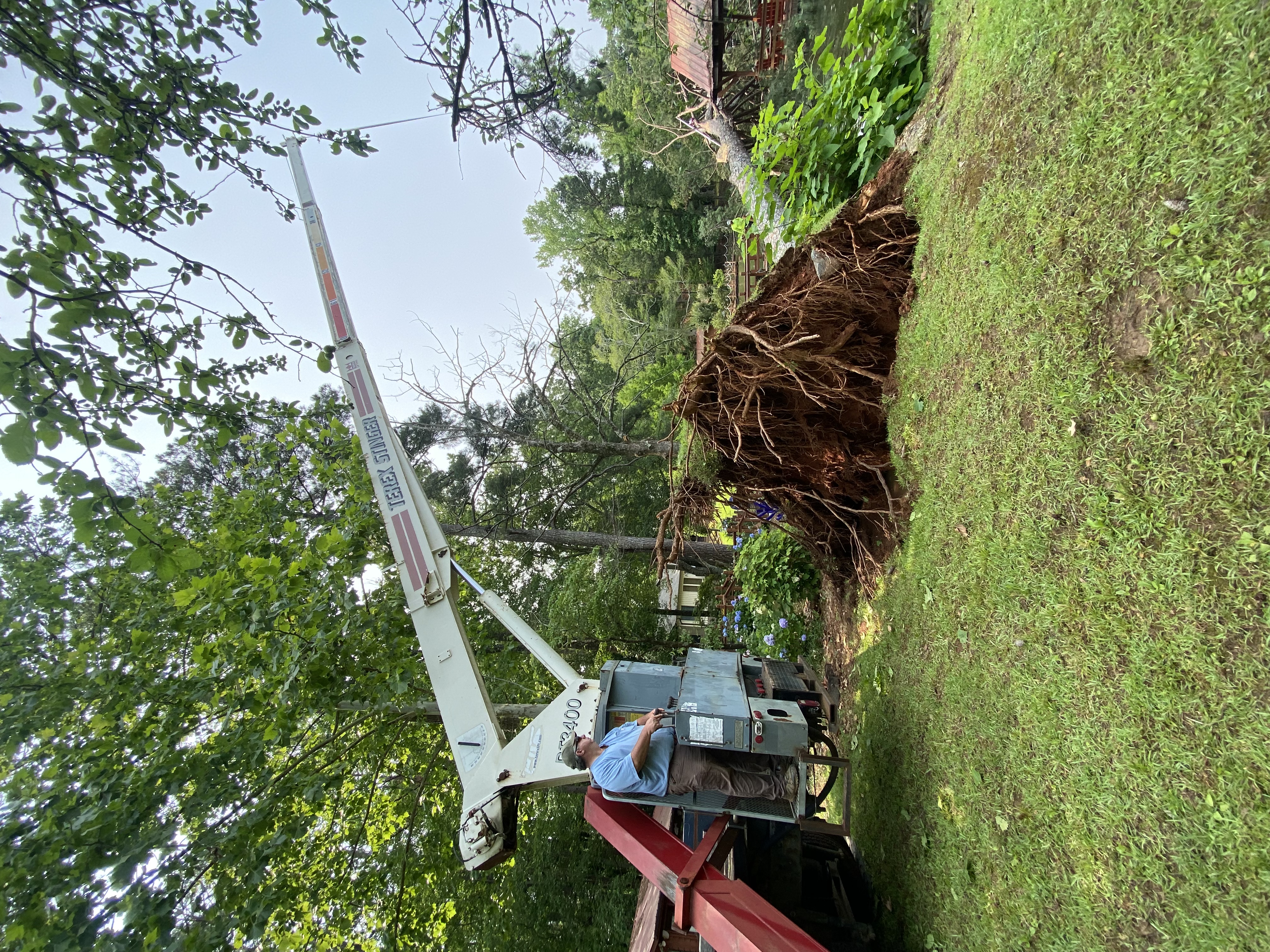Emergency fallen tree removal