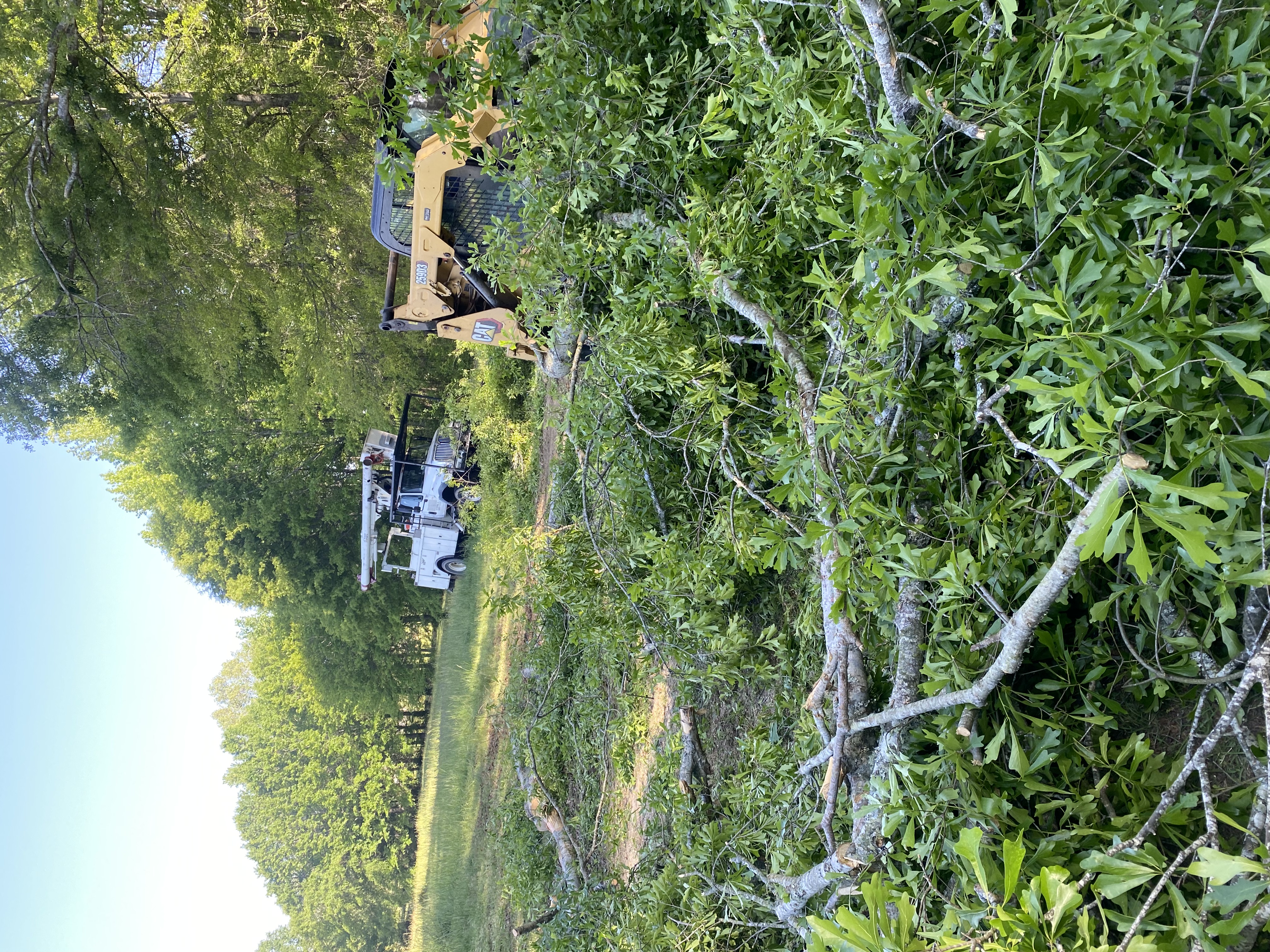 Large brush cleanup