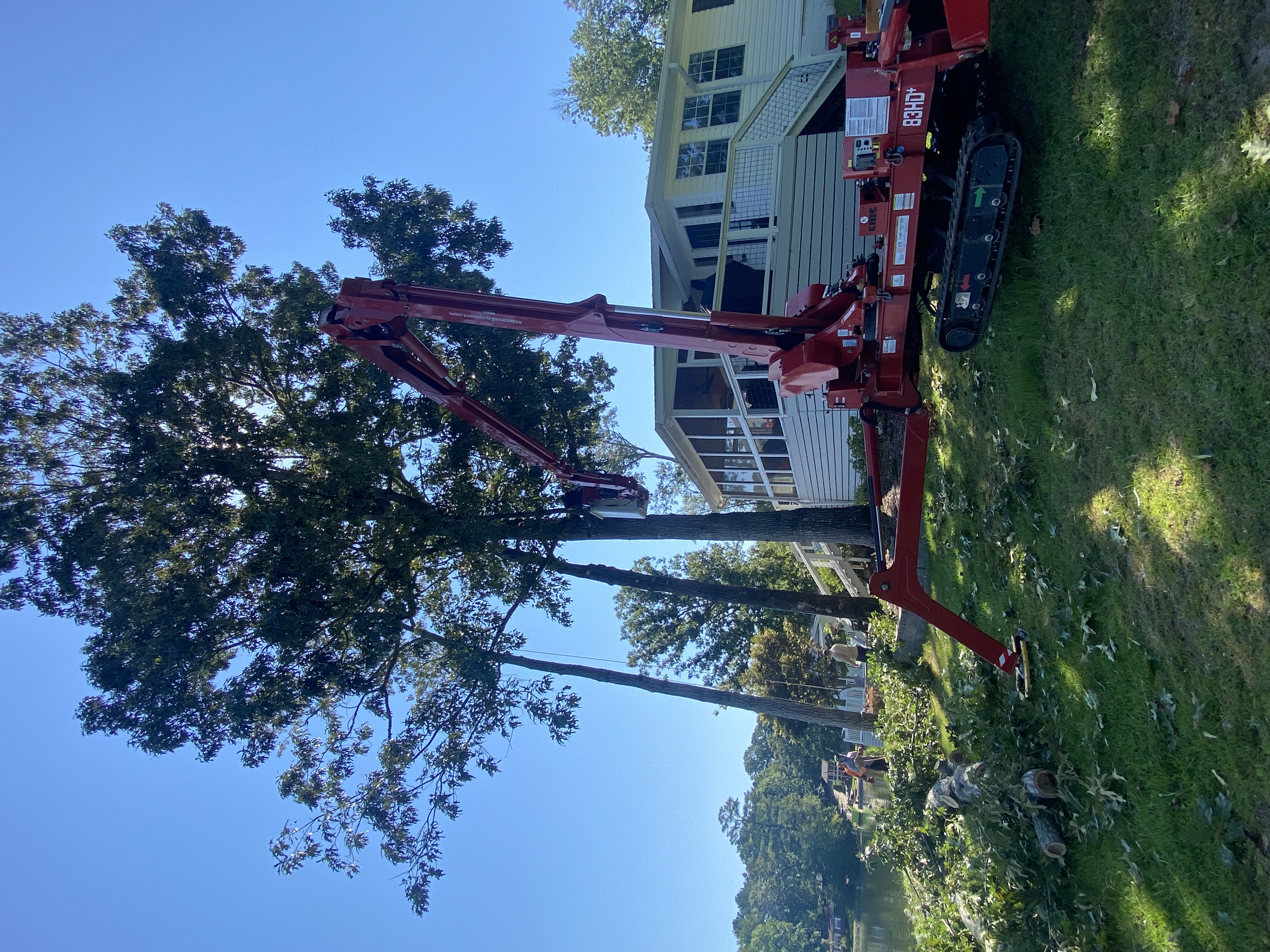 Tree removal near house