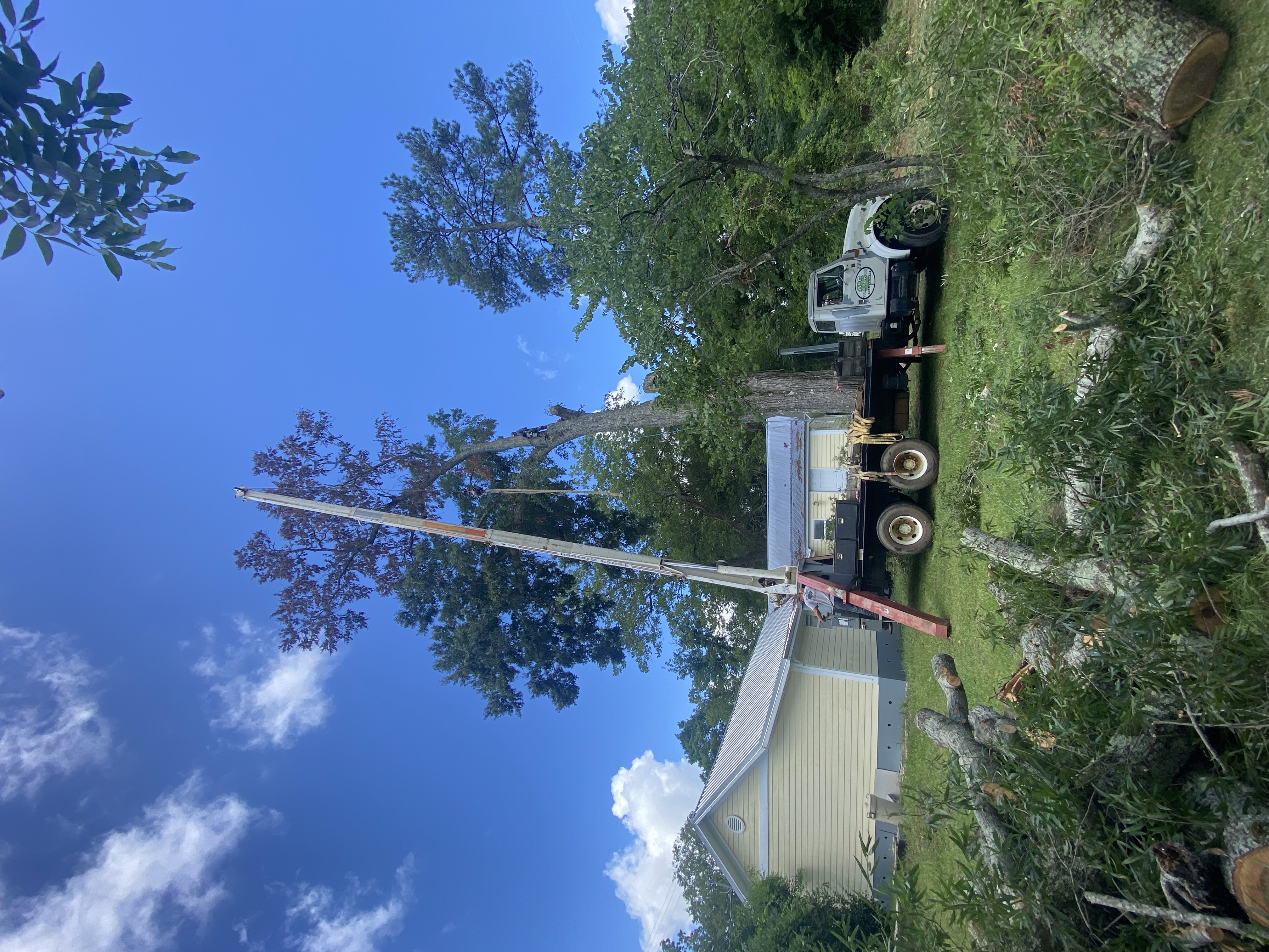 Tree trimming and limb removal