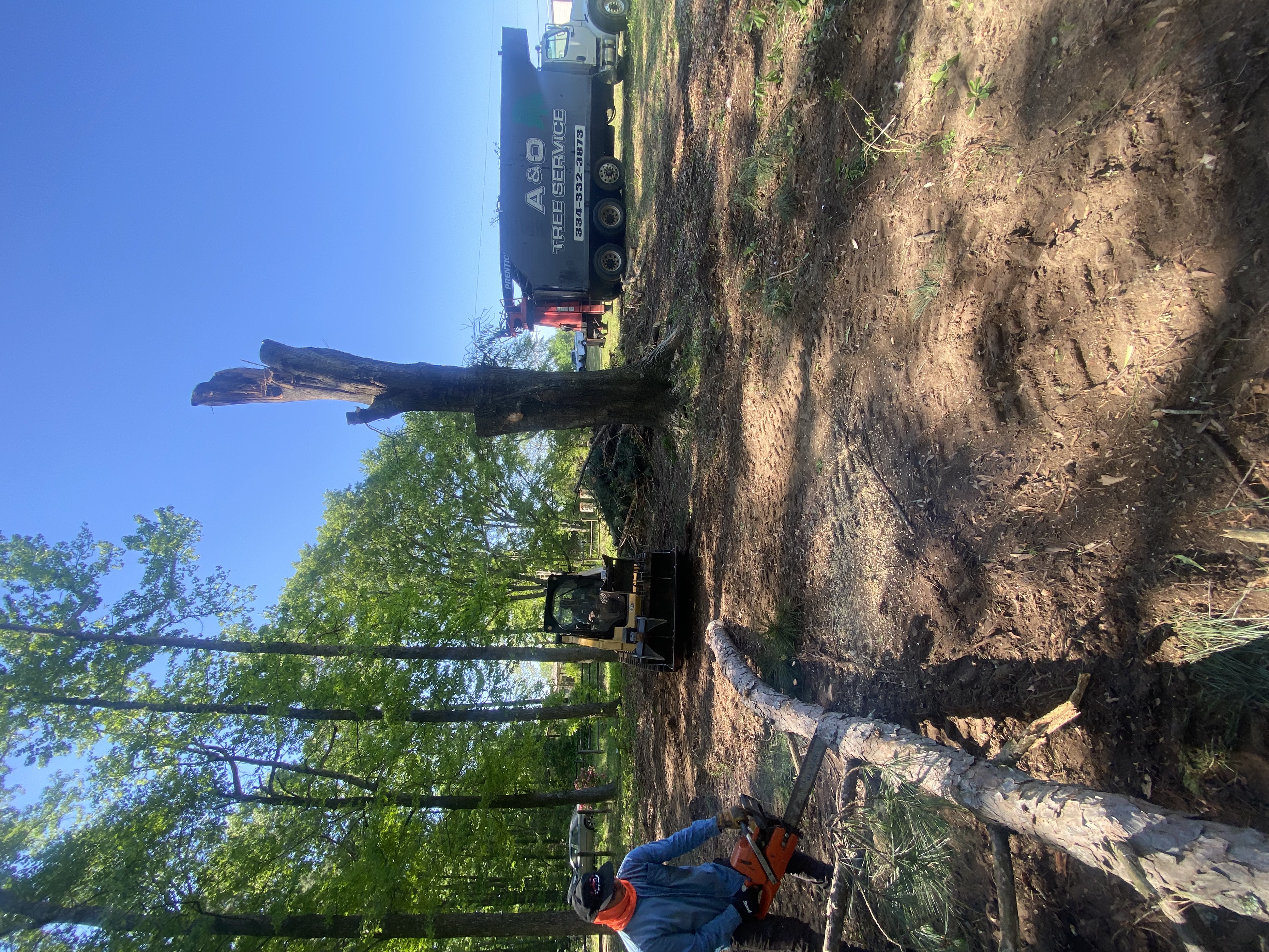 Tree trimming after cleanup