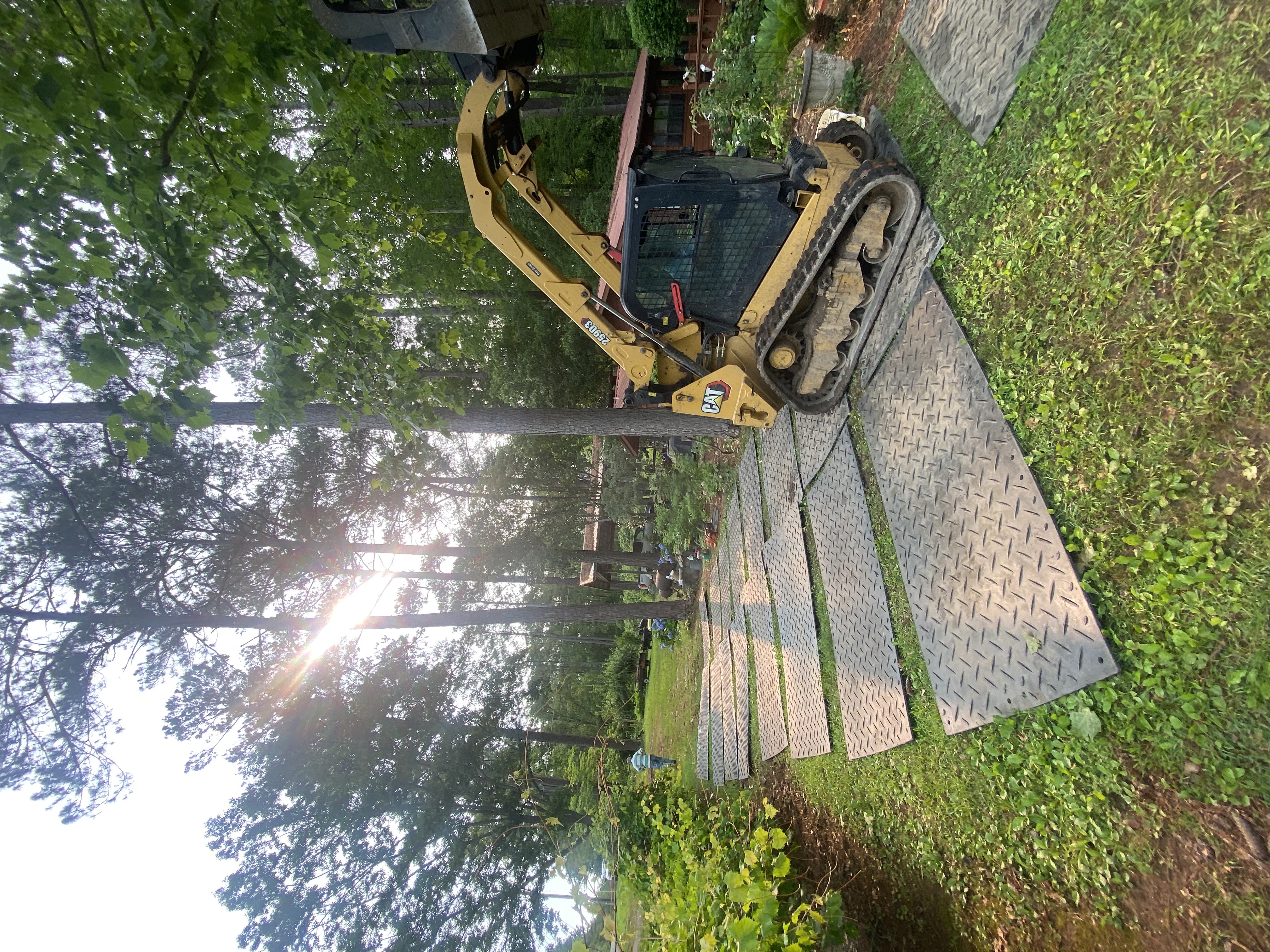 Property protection during tree service